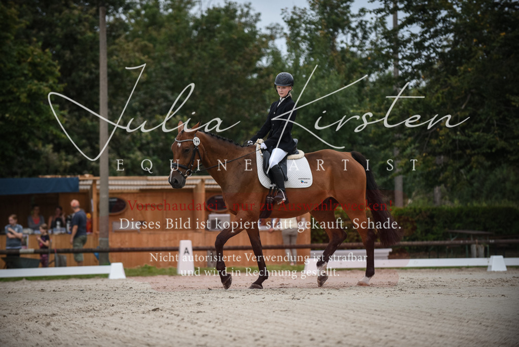 DSC_8029 | Pferde- und Turnierfotografie in Westsachsen. Pferdeportraits, Auftragszeichnungen und intuitive Kunst.