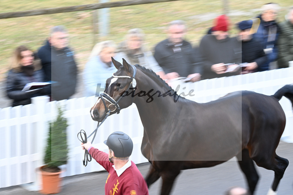 Impressionen Harter Boden_2240066 | hf-fotografie - Realisiert mit Pictrs.com