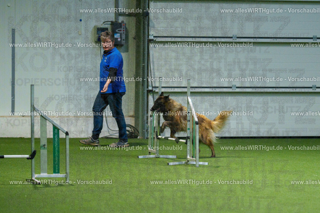 7R507882 | Professionelle Tierfotografie in Mönchengladbach von Daniel Wirth (allesWIRTHgut). Liebevolle & natürliche Bilder von Hunden & Katzen für unvergessliche Erinnerungen.