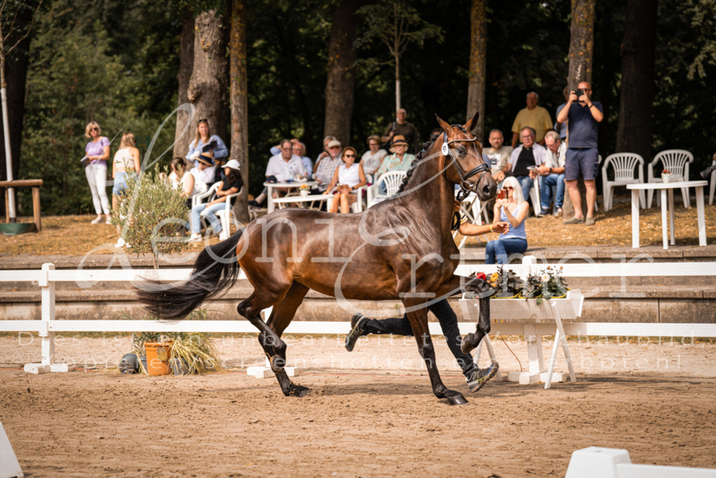 5.Fr00062 | Leoni Ertmer Photography - Realisiert mit Pictrs.com