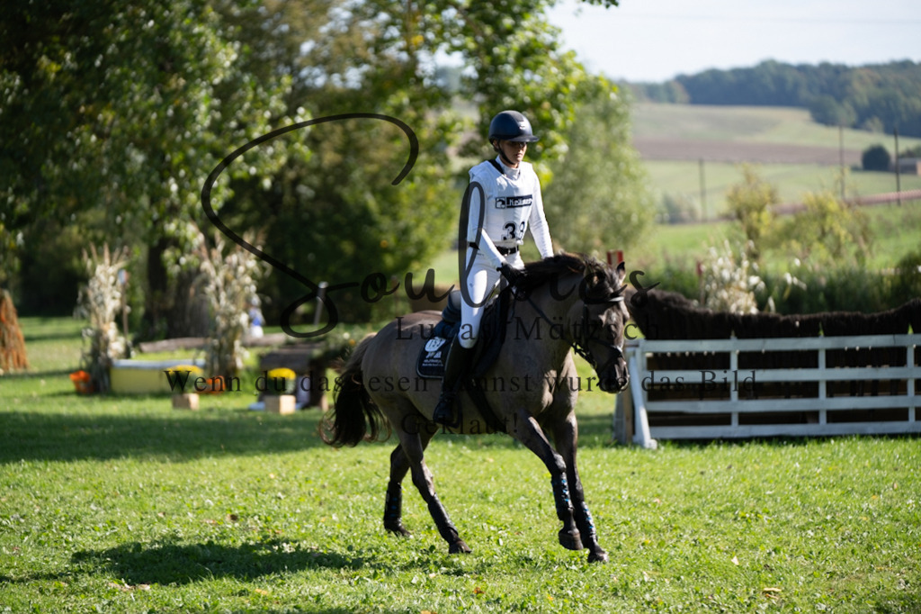 A7V03397 | Pferdefotograf