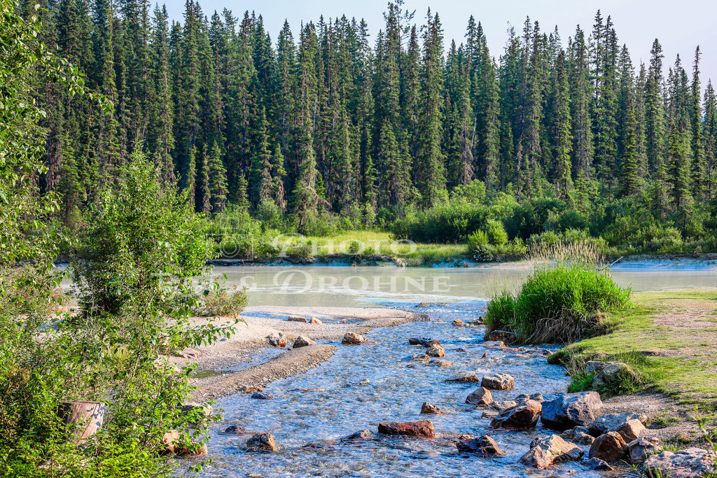 IMG_6599 | Erleben Sie den Zauber des Mittelrheins und entdecken Sie die atemberaubende Auswahl an Fotos und Bildern bei Rheinfotos. Wir bieten eine vielfältige Auswahl an Produkten wie Poster, Karten, Sticker, Textilien und Geschenkartikeln und Fototouren. - Realisiert mit Pictrs.com