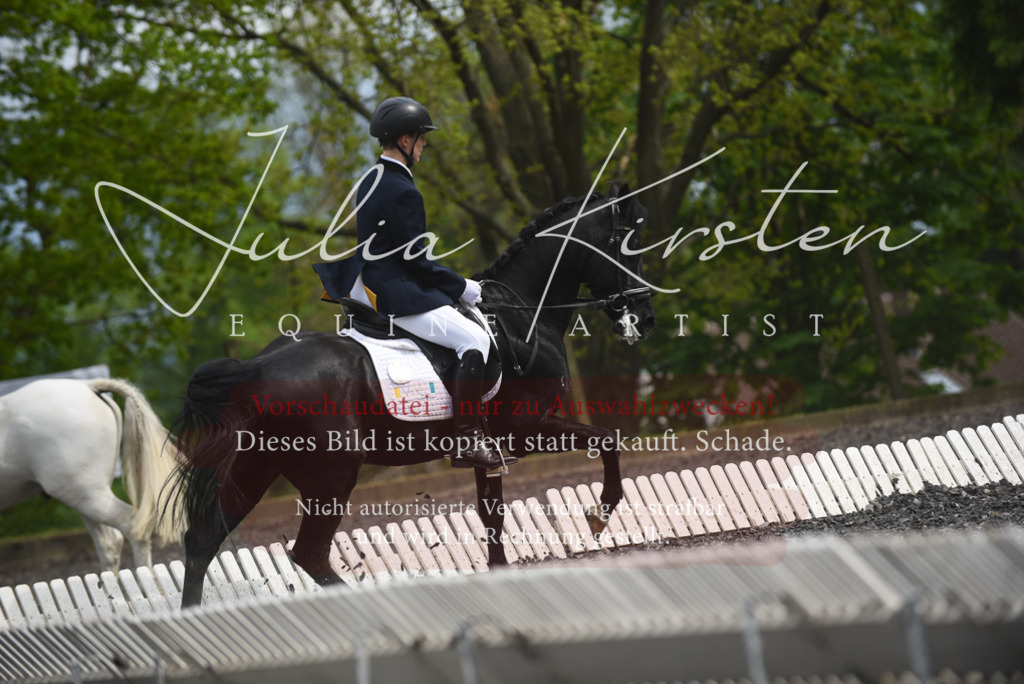 20230513_JK-Röhrsdorf-16-309 | Pferde- und Turnierfotografie in Westsachsen. Pferdeportraits, Auftragszeichnungen und intuitive Kunst.