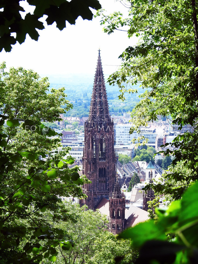 Freiburger Münster | Freiburger Münster - Realisiert mit Pictrs.com