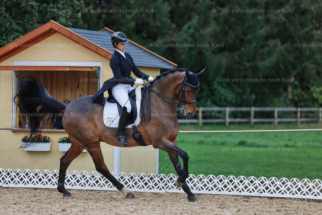 12-186-DRESSUR  S___  -StoibPH-5383 | working equitationturnier fotograf videograf stoibphotography marixx film working equitation deutschland reitsport turnierfotografie eventfotografie equestrian events