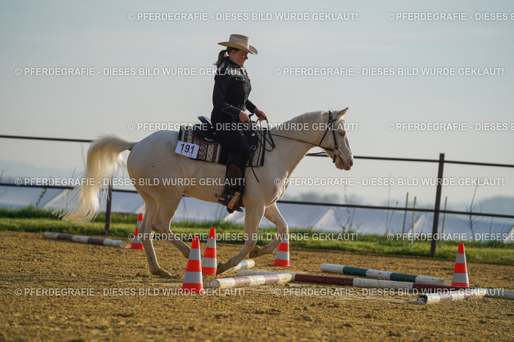 DSC00043 | Pferdegrafie