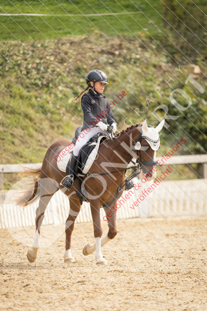 CON_0184 | Sport-, Event- und Tierfotos in Profiqualität. Einfach auswählen, bestellen und herunterladen. Dein Moment – perfekt festgehalten.