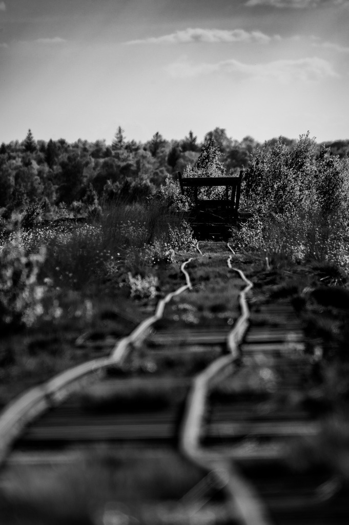 2024_05_08_QUICKBORN-HIMMELMOOR_MCP8633 sw | Hochwertig gedruckte Fotografien für die Wand, als Kalender und zum Verschenken. Hamburg & Norddeutschland und überall wo ich mit der Kamera unterwegs war.