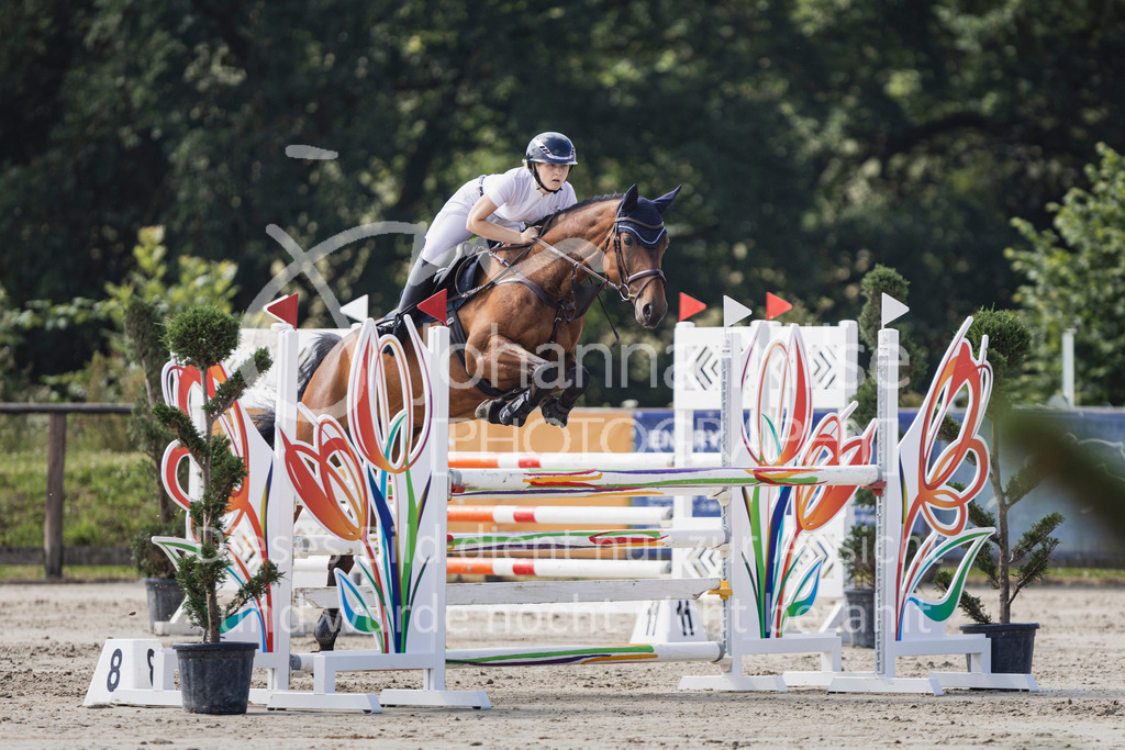 250629_PfSpTa_Stil-L2-342 | Deine schönsten Turniermomente als professionelle Fotos! Entdecke hochwertige Pferdesport-Fotografie im Online-Shop. Jetzt Fotos finden & bestellen!