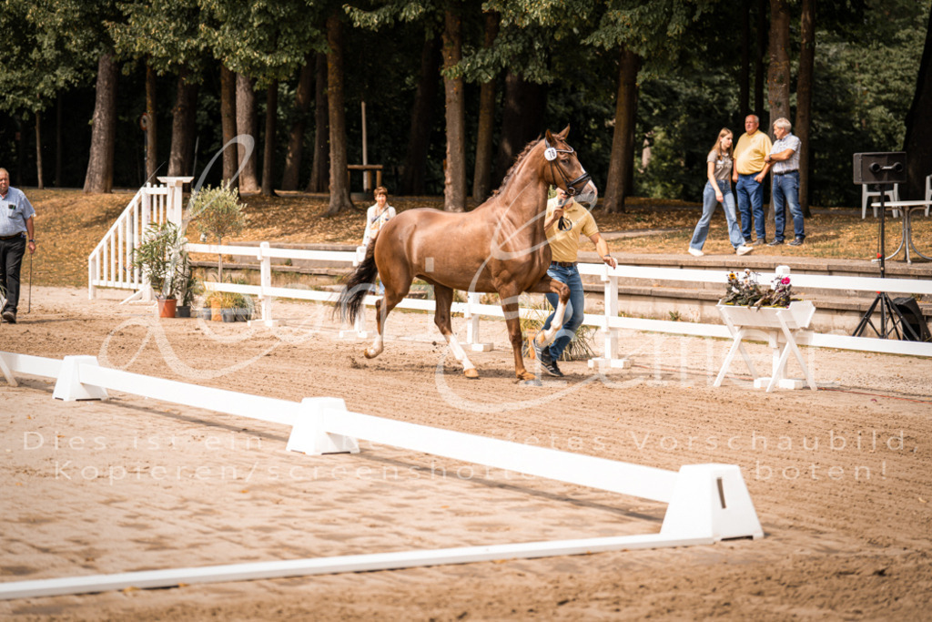 4.Fr00052 | Leoni Ertmer Photography - Realisiert mit Pictrs.com