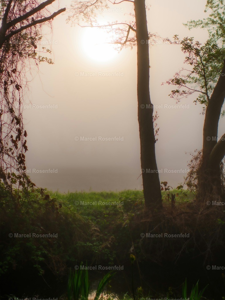 _DSC3150 | foto-rosenfeld