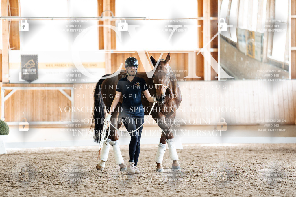 CK908254 | Turnierfotografie Pferdefotografie Trier Rheinland-Pfalz Pferdesport Reitsport Tierfotografie Sportfotografie Pferdevideo Pferdevideografie Equestrianvideography equestrianphotography  - Realisiert mit Pictrs.com