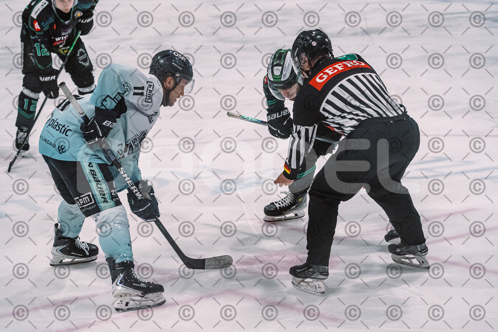 Alligators_vs_Lindau_20_02_2026-21 | Höchstadt Alligators Fotogalerie: Eishockey-Action aus Franken. Professionelle Spielfotos, Portraits & Stadionbilder zum Download. Jetzt entdecken! - Realisiert mit Pictrs.com