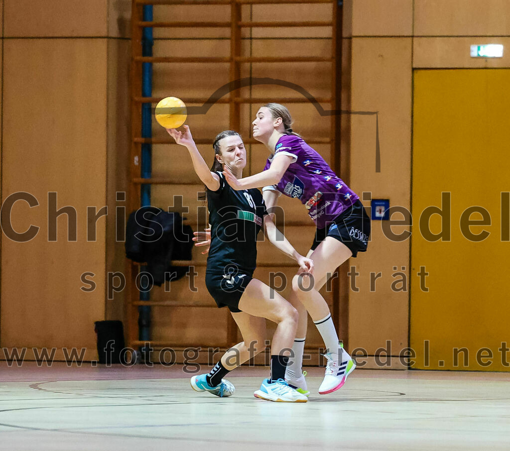 2024-01-27_015_SpVgg_Altenerding_gegen_HSG_Schwab-kirchen | Erding, Deutschland, 27.01.2024:
Handball, Bezirksoberliga Frauen Altbayern 2023 / 2024, 12. Spieltag, SpVgg Altenerding gegen HSG Schwab/kirchen, Endergebnis: 39:28

Veronika Gasteiger (HSG Schwab/kirchen, #81)

Foto: Christian Riedel / fotografie-riedel.net