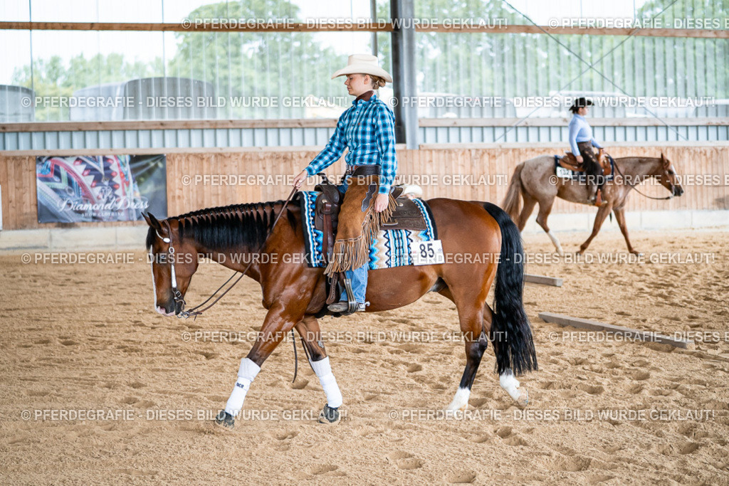 DSC08162 | Pferdegrafie