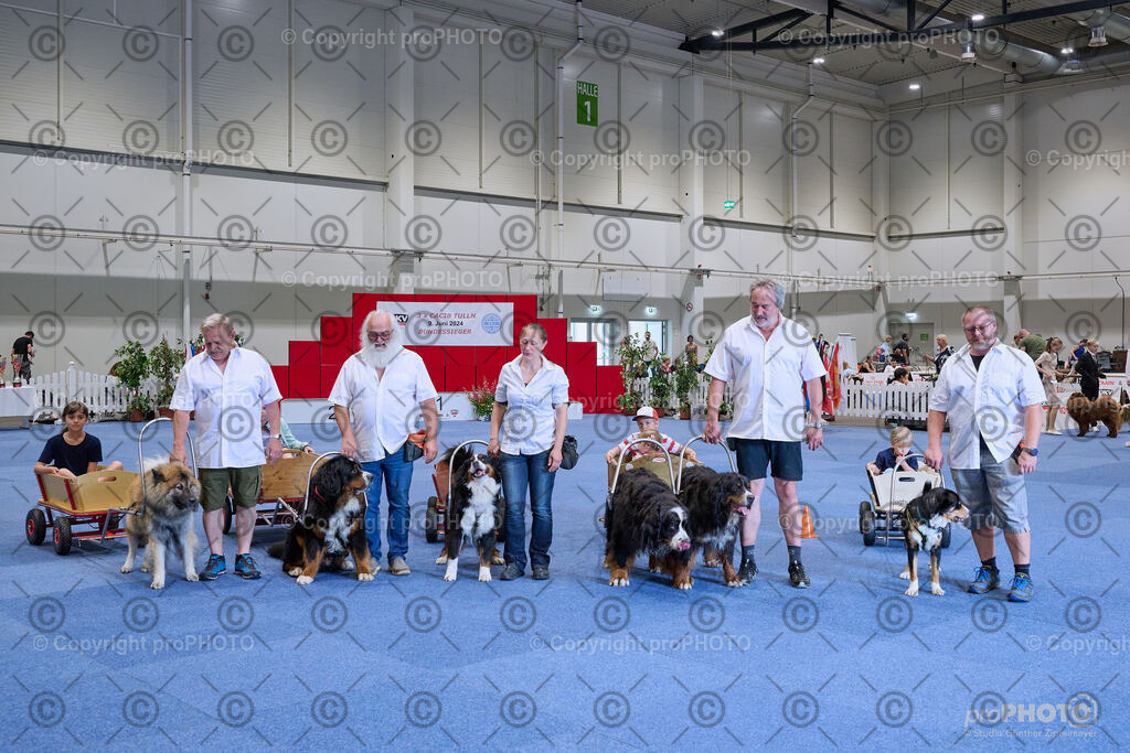 202406_ÖKV-IHA-Tulln24_NZ9_9405 | proPHOTO - Realisiert mit Pictrs.com