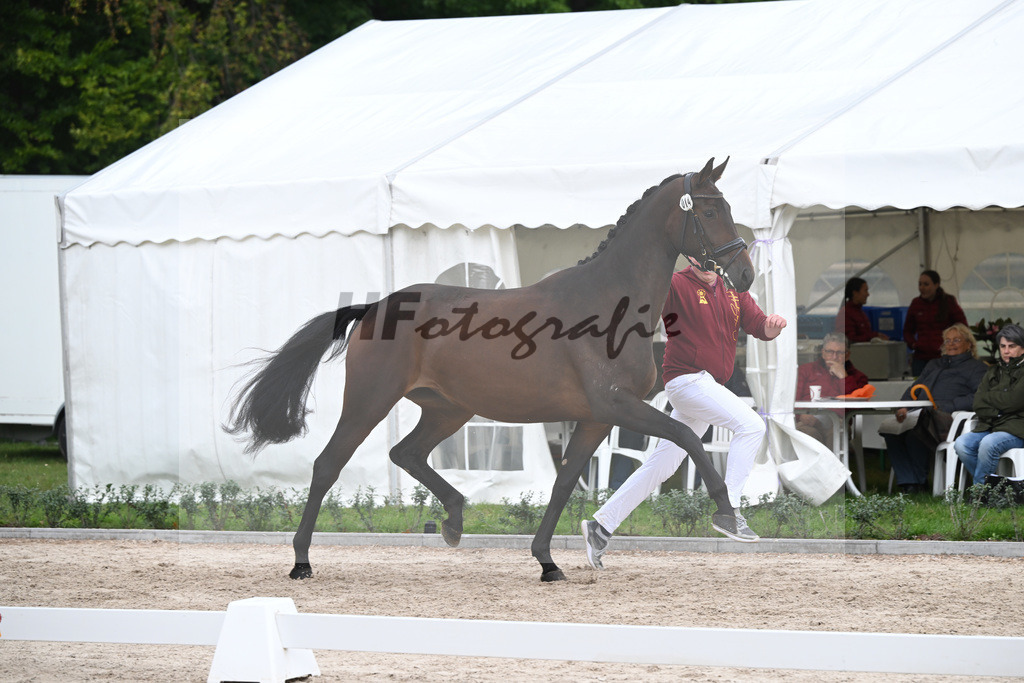 Kat-Nr. 14 Fine Farina_Reitnauer GbR_49221181 | hf-fotografie - Realizzato con Pictrs.com