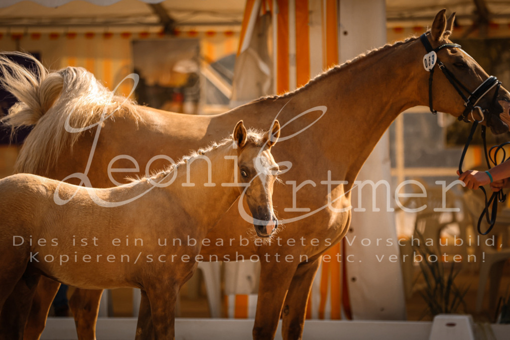 11.DoRP00093 | Leoni Ertmer Photography - Realisiert mit Pictrs.com