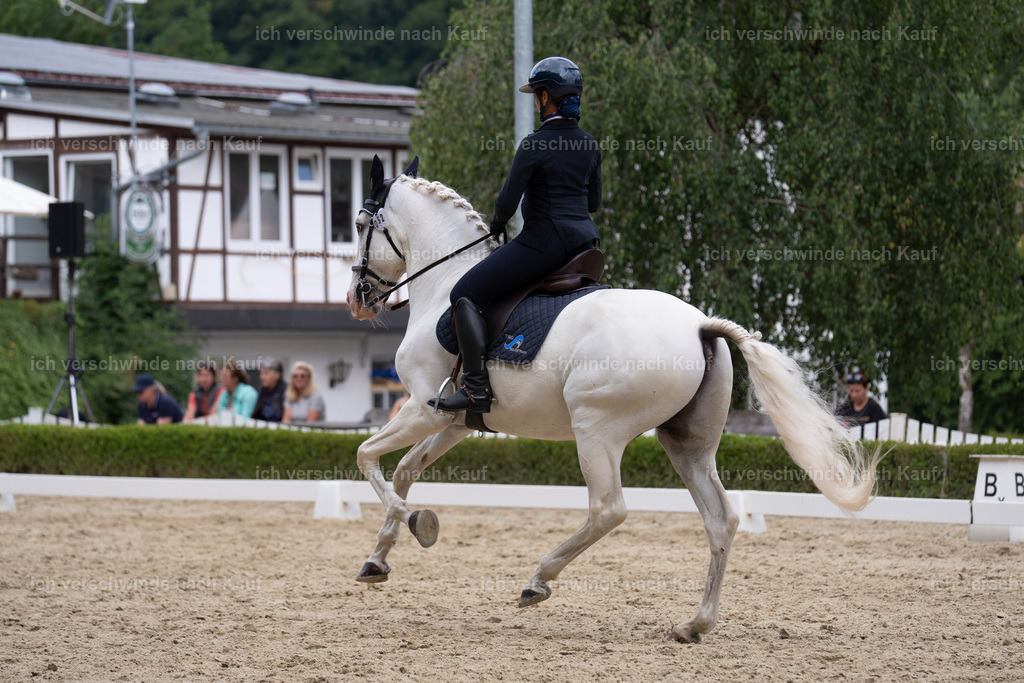 WS_DR_52_SinaFilmArt_IN01434 | working equitationturnier fotograf videograf stoibphotography marixx film working equitation deutschland reitsport turnierfotografie eventfotografie equestrian events