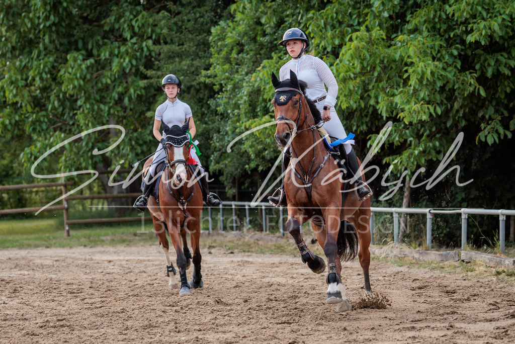 20260529-_3LI2168 | Tierfotografie Pferde, Hunde, Katzen, Haustiere.
Turnierfotografie Reitturniere, Reiten, Springreiten, Dressur in Hanau, dem Main-Kinzig-Kreis und dem Rhein-Main- Gebiet um Frankfurt