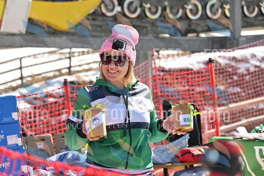 C7411 | holidayphoto