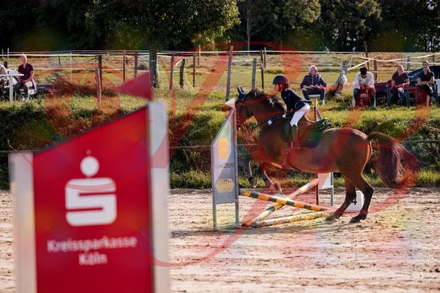 2026_10_03_Siefer-Hof_143811_Z81_08052882 | Professionelle Reitsport-, Turnier- und Eventfotografie von Robert Broda. Galerien mit ausgewählten und bearbeiteten Bildern direkt online ansehen und bestellen.