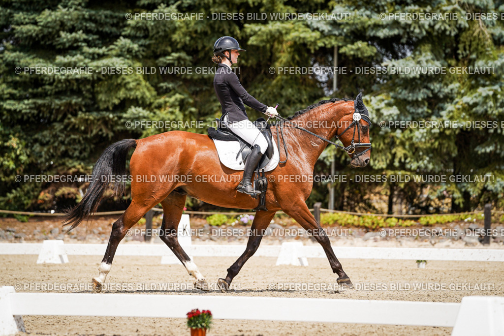 DSC02409 | Pferdegrafie