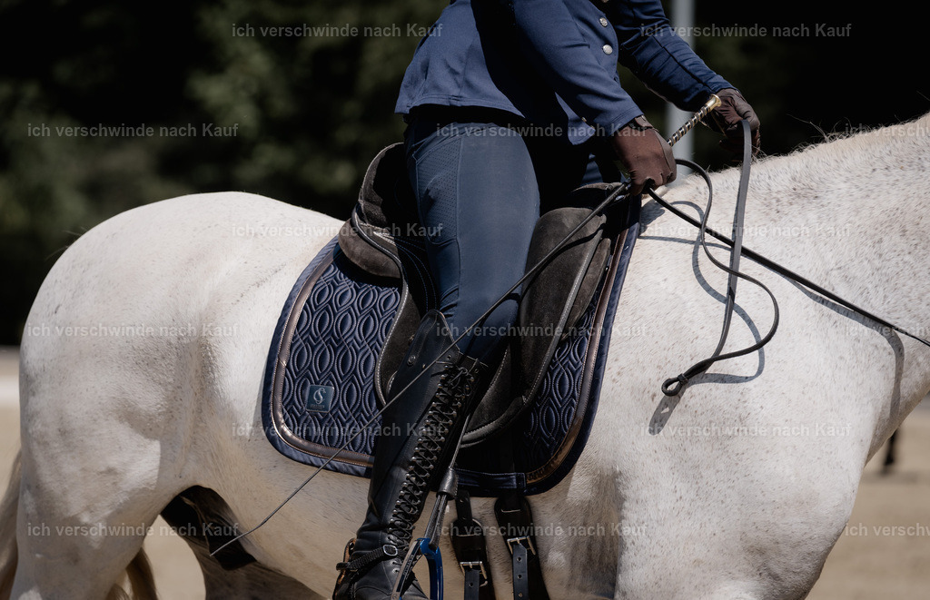 WE_DR_128_SinaFilmArt_IN03624 | working equitationturnier fotograf videograf stoibphotography marixx film working equitation deutschland reitsport turnierfotografie eventfotografie equestrian events