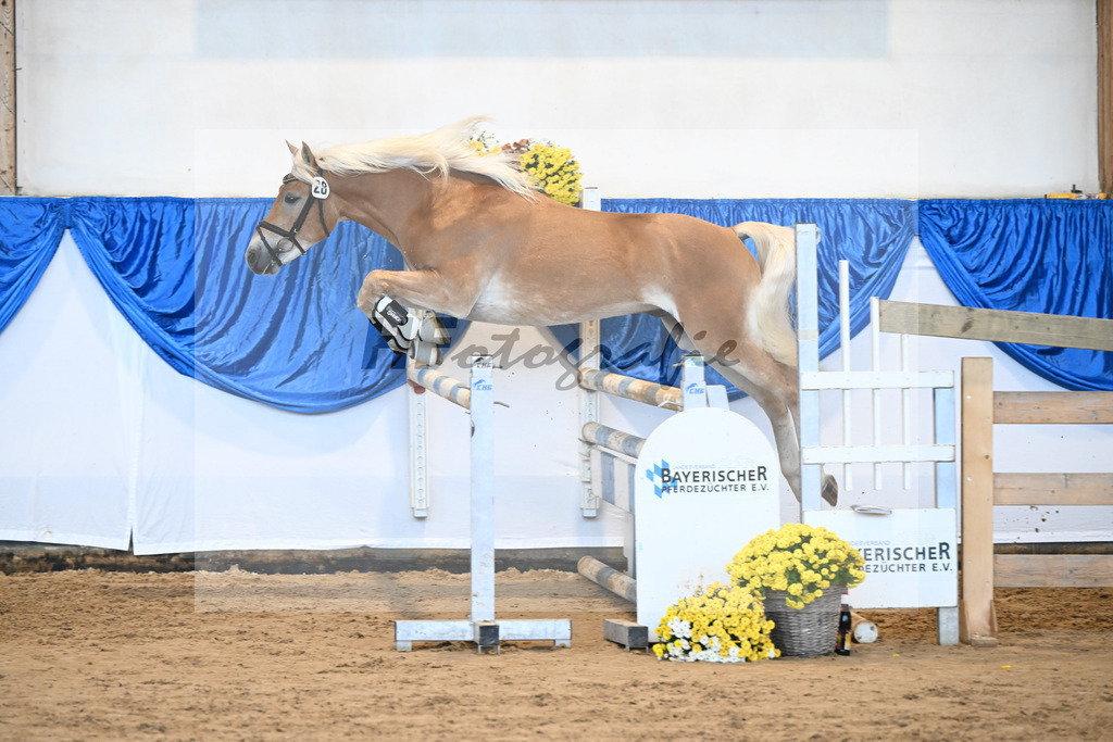 Kat-Nr. 28 nn v. Nio_Kirchberger_48250592 | hf-fotografie - Realisiert mit Pictrs.com