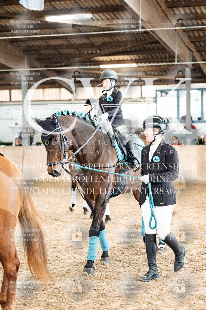 CK905949 | Turnierfotografie Pferdefotografie Trier Rheinland-Pfalz Pferdesport Reitsport Tierfotografie Sportfotografie Pferdevideo Pferdevideografie Equestrianvideography equestrianphotography  - Realized with Pictrs.com