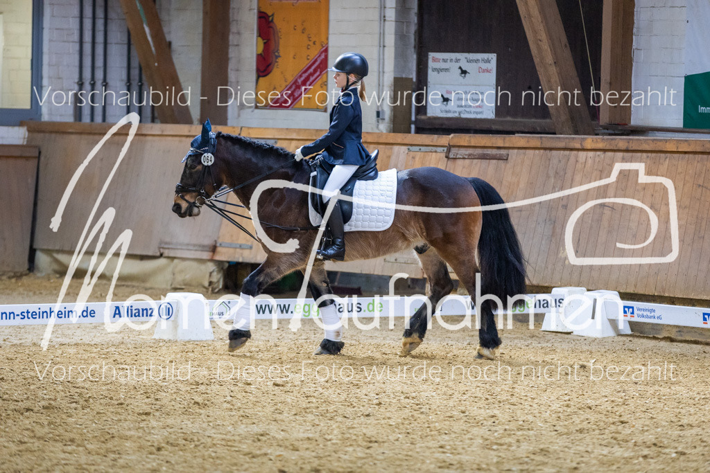 _M2A1945 | MomenTaufnahmen Pferdesportfotos