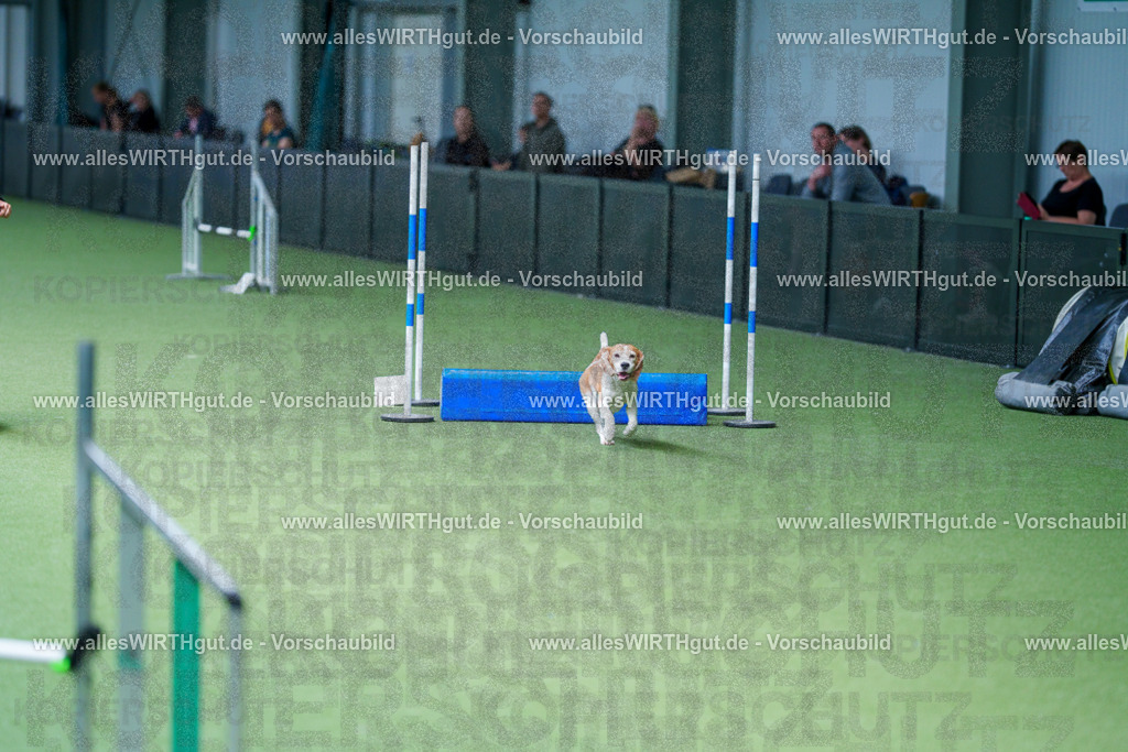 @allesWIRTHgut_Tierfotografie - www.allesWIRTHgut.de - 2604261221-7R500752 | Professionelle Tierfotografie in Mönchengladbach von Daniel Wirth (allesWIRTHgut). Liebevolle & natürliche Bilder von Hunden & Katzen für unvergessliche Erinnerungen.