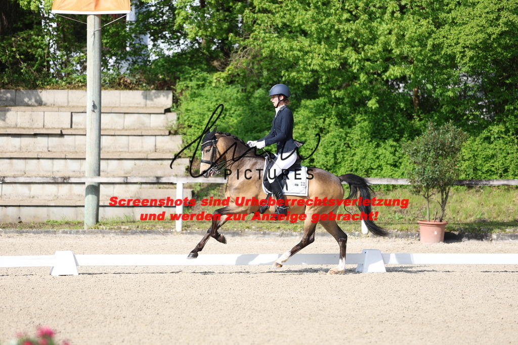 A40A3734 | lmwpictures - Realisiert mit Pictrs.com