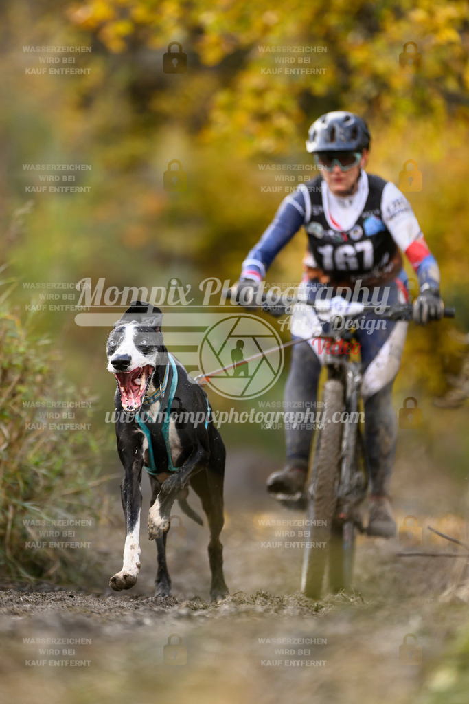 MompixPhotography_ICF_WC_2024_SA_Bike_-231 | PayLife