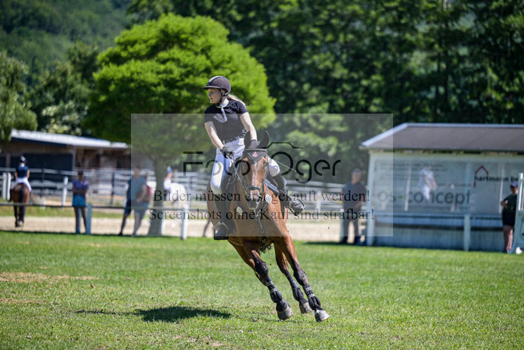 Reitturnier Voxtrup | Entdecke hochwertige Reitturnierfotos von Foto Oger. Professionell, emotional und authentisch – jetzt Lieblingsmomente im Shop bestellen.Deutschlandweite Turnierfotografie. - Realisiert mit Pictrs.com