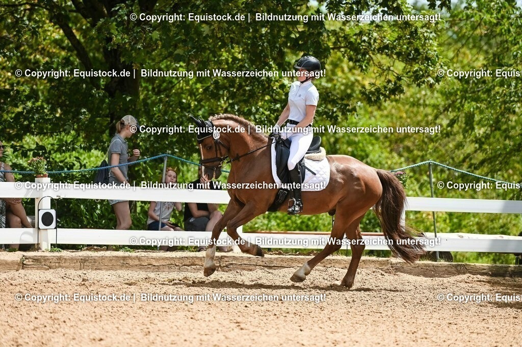 20230715_05_Dressurprüfung Kl.A++_0223 | equistock