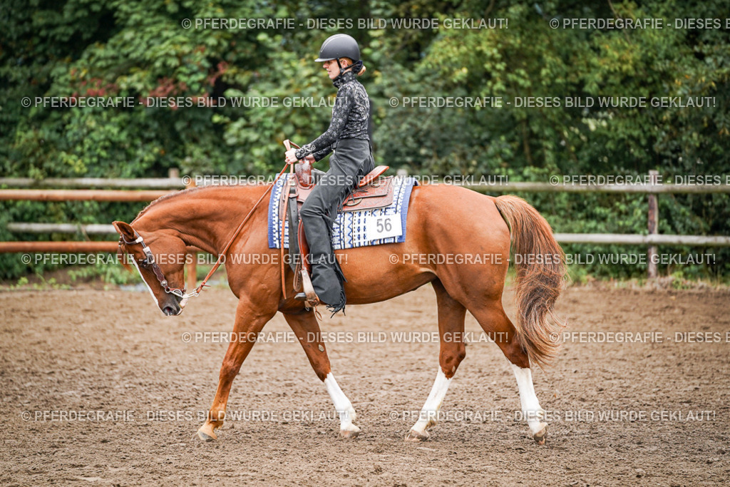 DSC02438 | Pferdegrafie