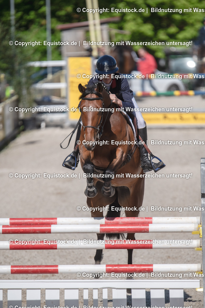 20240512_CCI2-L_Show-Jumping_0009 | Foto: Thomas Hartig