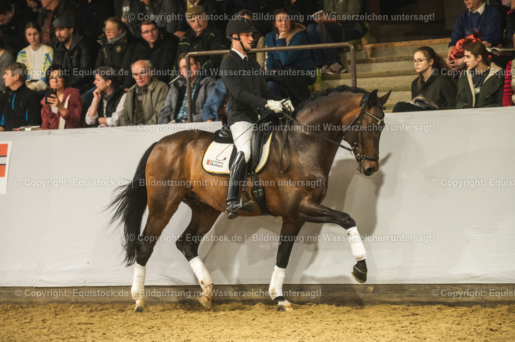 20240302_Hengstvorstellung_Marbach_TOMsPiC_1254-2 | equistock