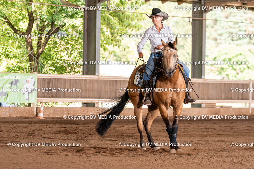 Erbach Tag 2-880 | dv-media-shop - Realisiert mit Pictrs.com