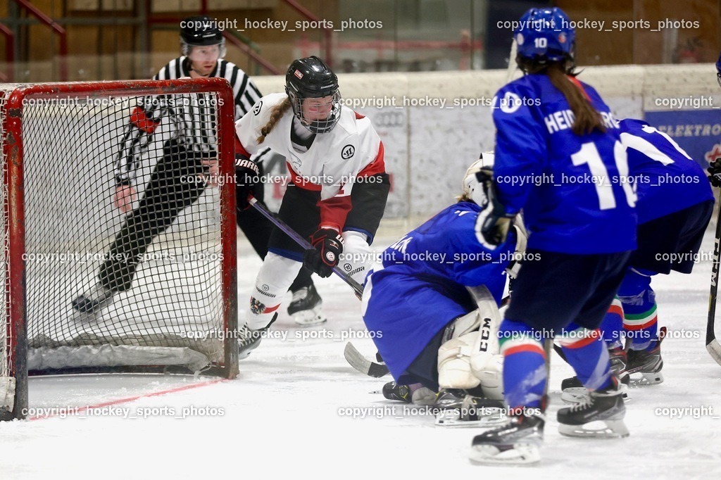 MOWE4955 | hockey sports photos, Pressefotos, Sportfotos, hockey247, win 2day icehockeyleague, Handball Austria, Floorball Austria, ÖVV, Kärntner Eishockeyverband, KEHV, KFV, Kärntner Fussballverband, Österreichischer Volleyballverband, Alps Hockey League, ÖFB, 