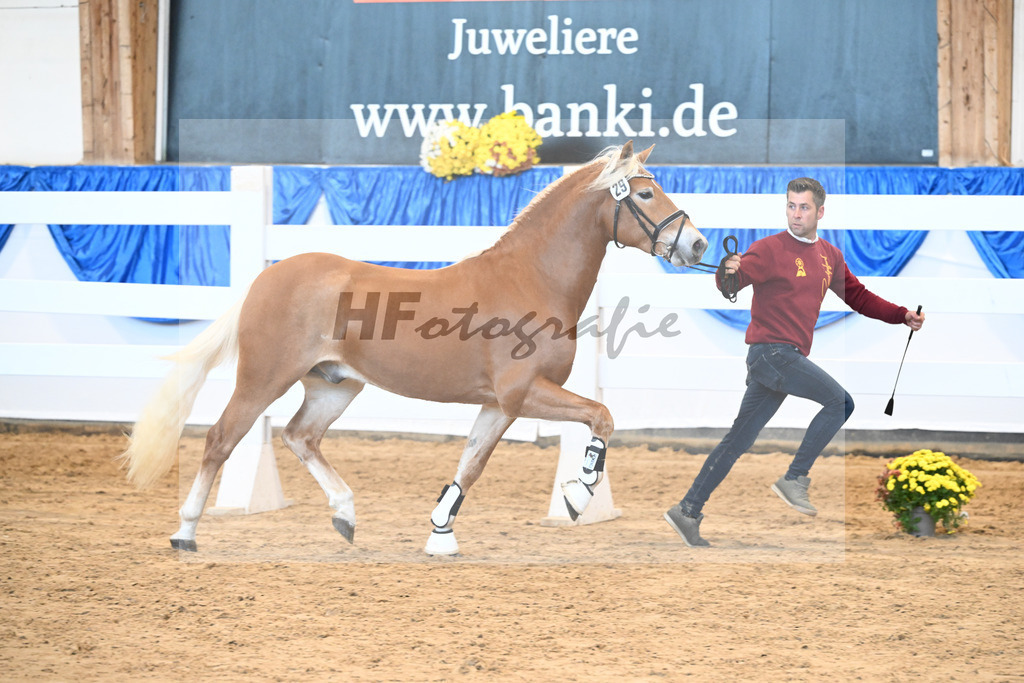 Kat-Nr. 29 nn v. Nio_Carreno-Erdmann_48250634 | hf-fotografie - Realisiert mit Pictrs.com