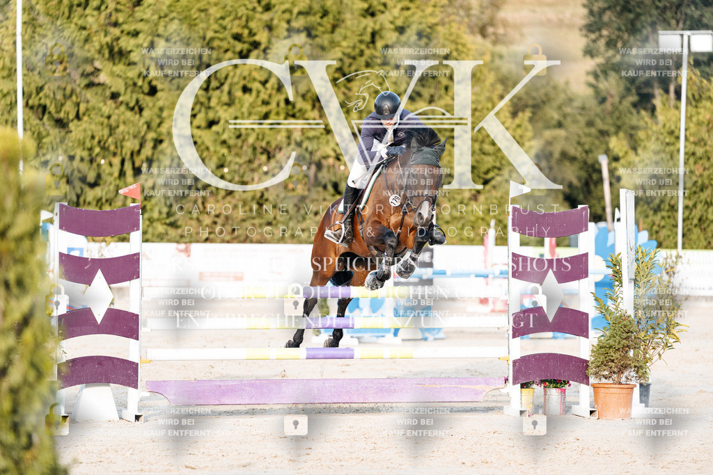 CK900871 | Turnierfotografie Pferdefotografie Trier Rheinland-Pfalz Pferdesport Reitsport Tierfotografie Sportfotografie Pferdevideo Pferdevideografie Equestrianvideography equestrianphotography  - Realisiert mit Pictrs.com