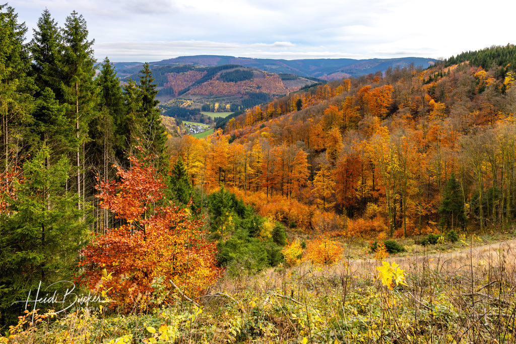 Herbst im Sauerland | Herbst im Sauerland - Realisiert mit Pictrs.com
