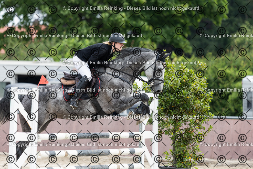 CL5A2118 | Emilia Reinking Fotografie - Realisiert mit Pictrs.com