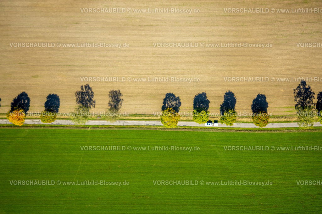 Schmallenberg220903677BadFredeburg | , Luftbild, Baumallee am StraÃŸenrand, Formen und Farben, Wormbach, Schmallenberg, Sauerland, Nordrhein-Westfalen, Deutschland