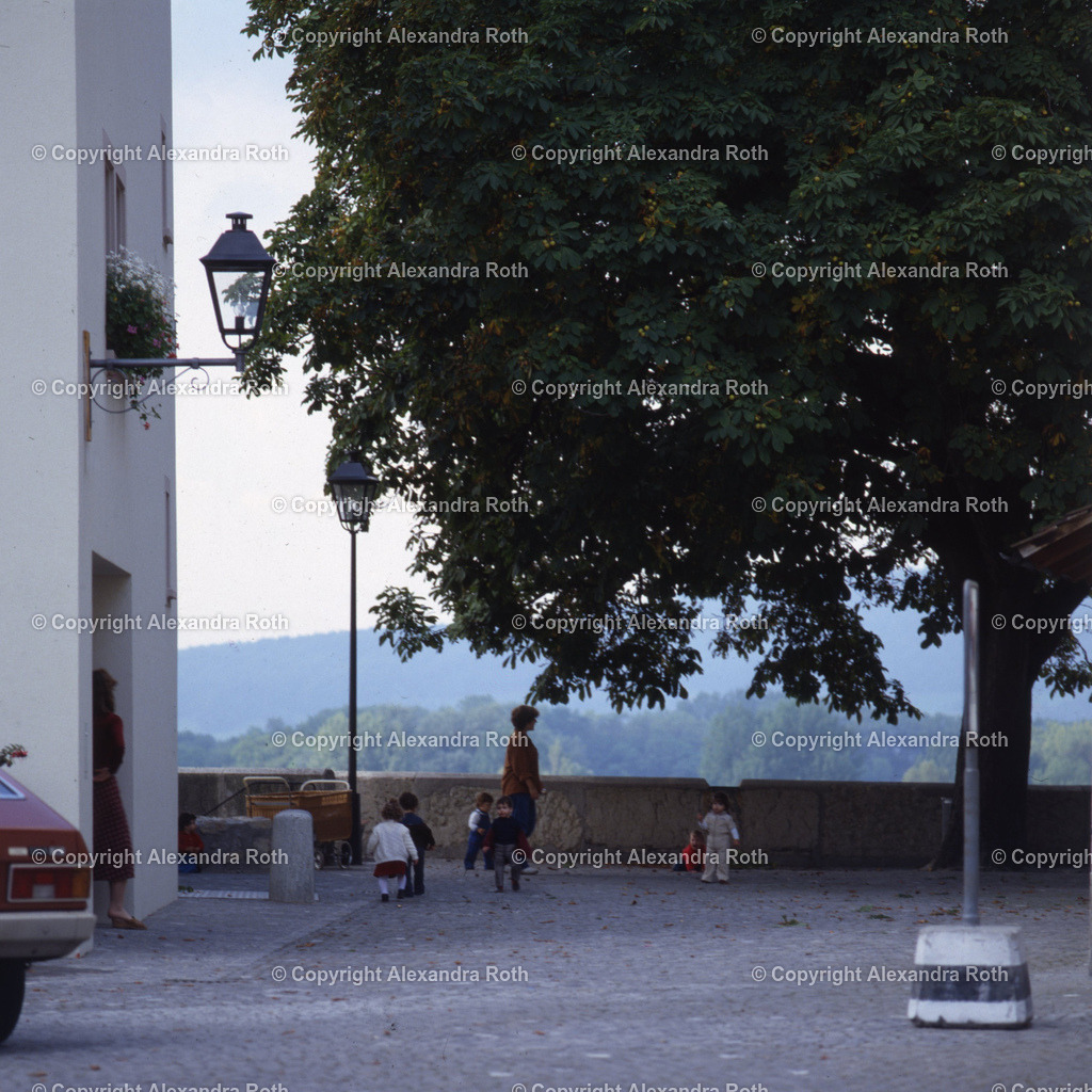 Aarau_756 | onlineshop - Realisiert mit Pictrs.com