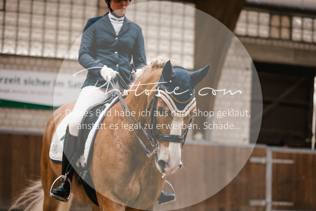 3I6A8434 | Stimmungsvolle Portraits und Reitsportfotografie im Ruhrgebiet und im Münsterland.

Pferdefotografie, Hundefotografie, Tierfotografie, Reportagen, Portraits von Tier und Mensch, Turnierfotografie in Bochum, Recklinghausen, Marl, Haltern am See, Dülmen.. - Realisiert mit Pictrs.com