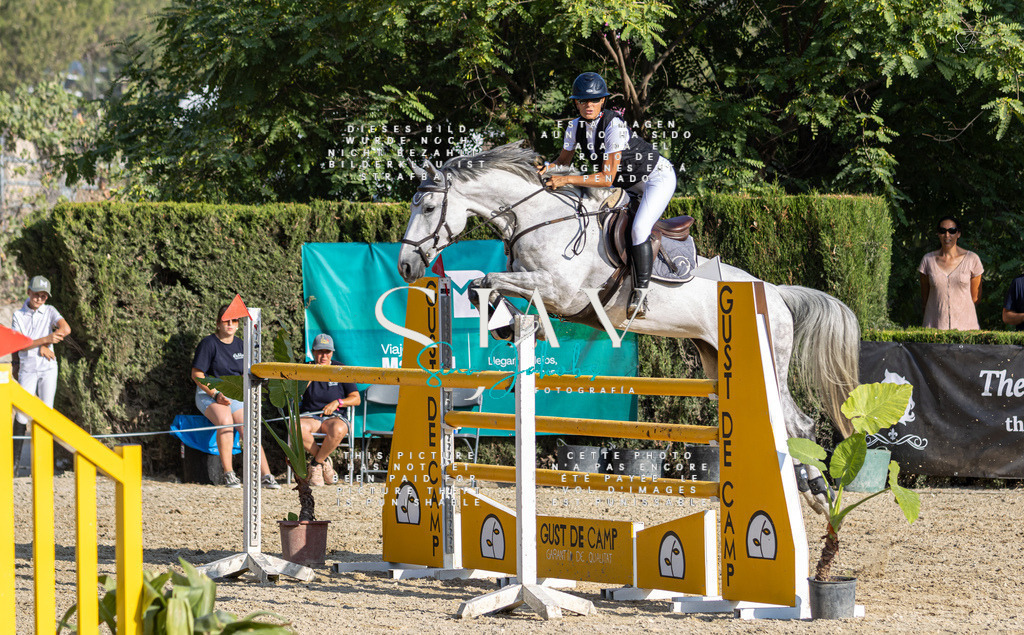 IMG_9433 | s-jay-photography - Realisiert mit Pictrs.com