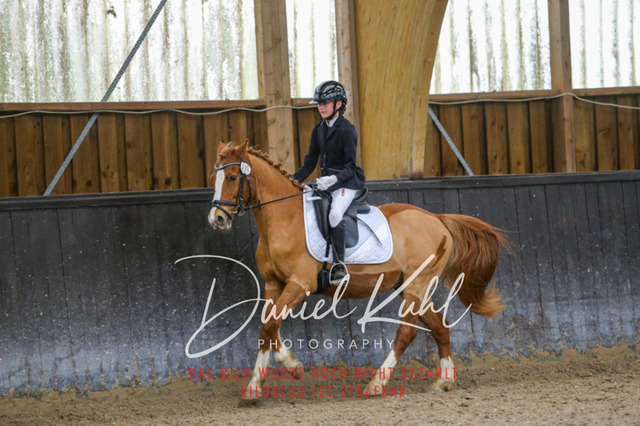 IMG_0709 | Turniersportfotografie; Pferdefotografie; Dressurfotografie